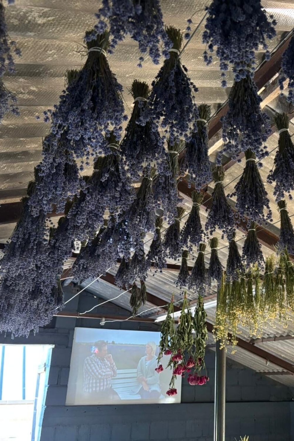 193AD41F-CA41-41EF-9E92-909C9BC103B8