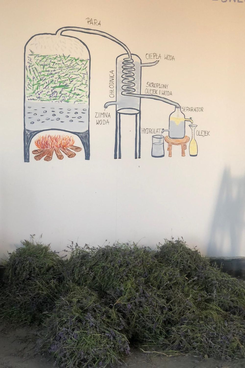 6cc8ad92-6a8d-45f3-99c7-d7418d9ead0e