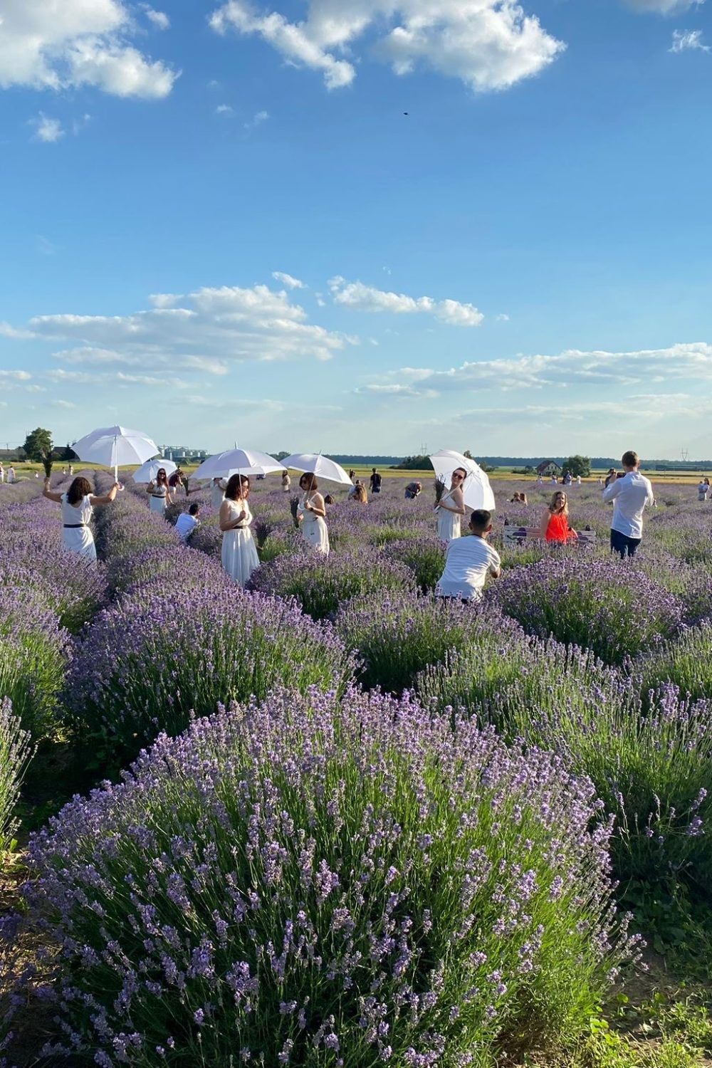 C22E1152-A743-4D9B-95CA-CACE3500233D