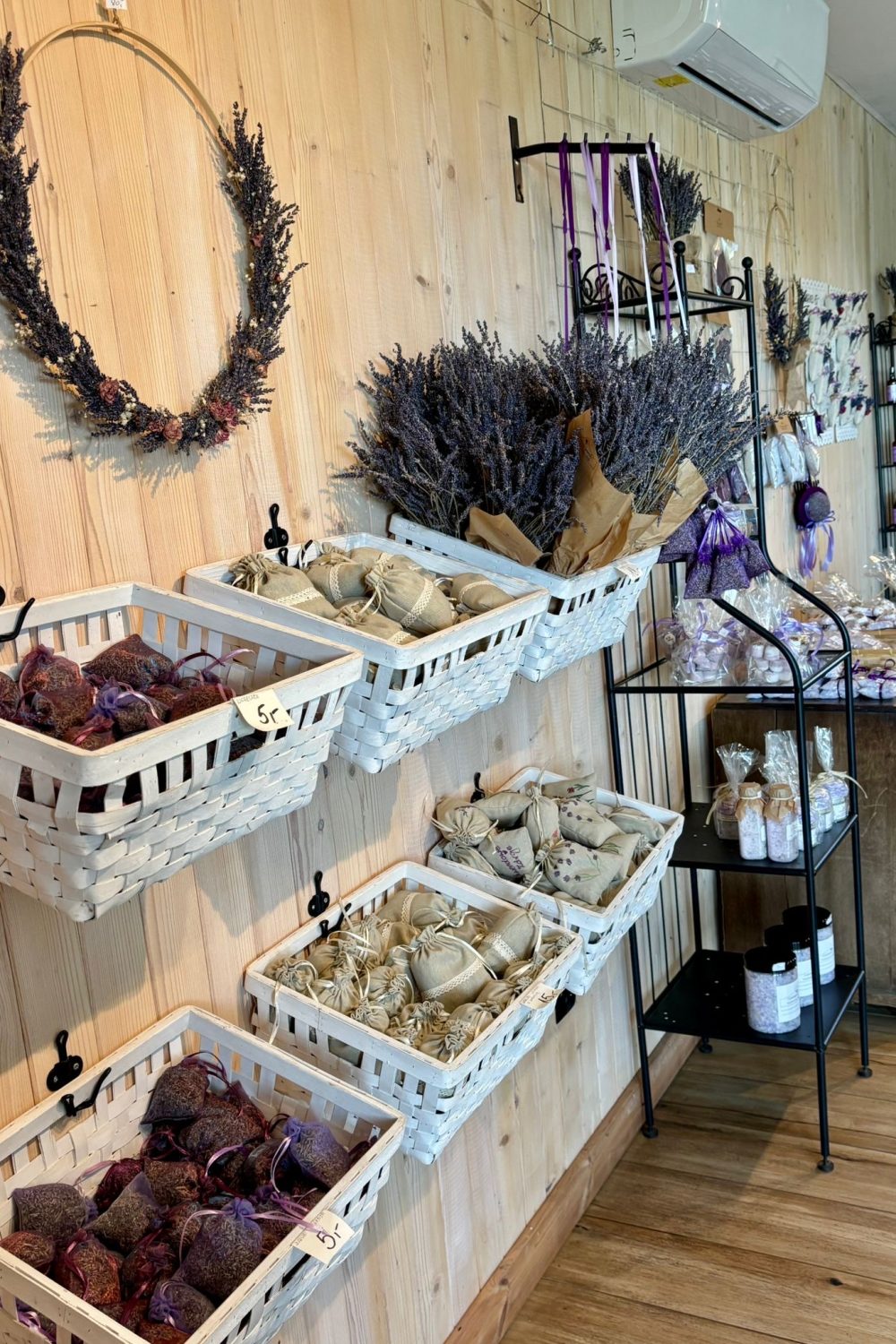 CBA02F68-285D-4BAB-AD63-C134B0909472