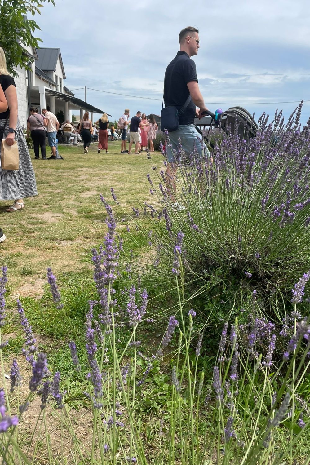 a1bebc59-15df-4862-9e6d-aa811795995f