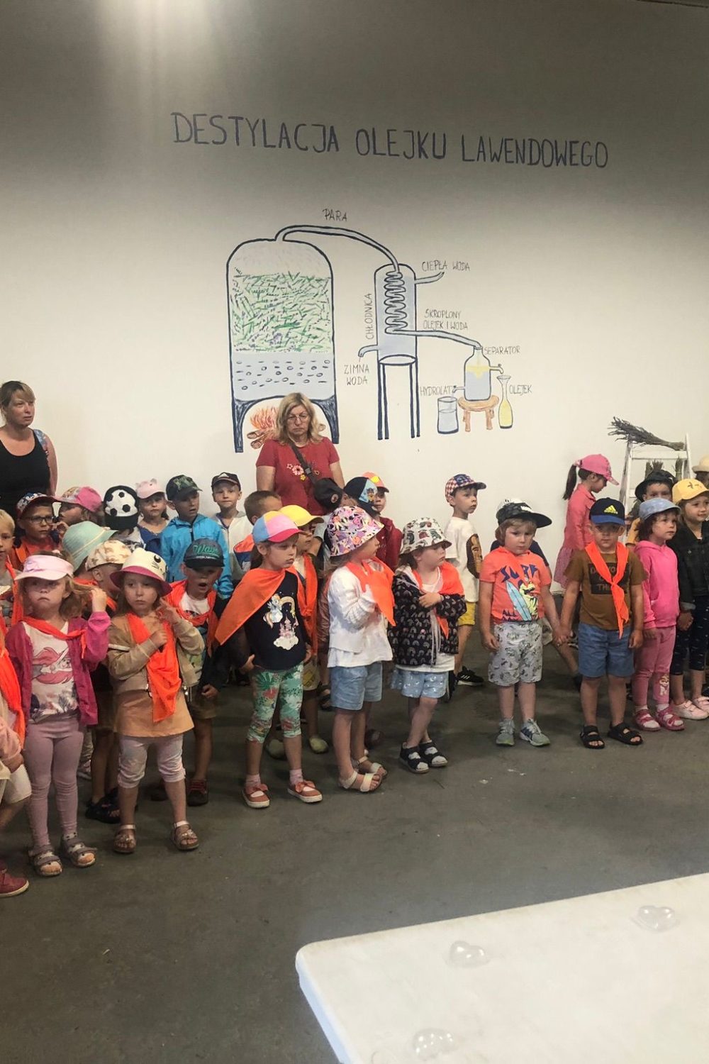 a765ddac-6d55-4093-a5cb-e44556b17b57