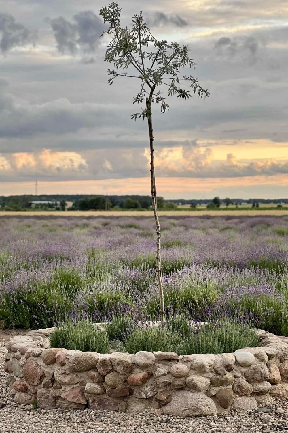 ec724e34-39b0-4f04-99fd-43305a9fc70c