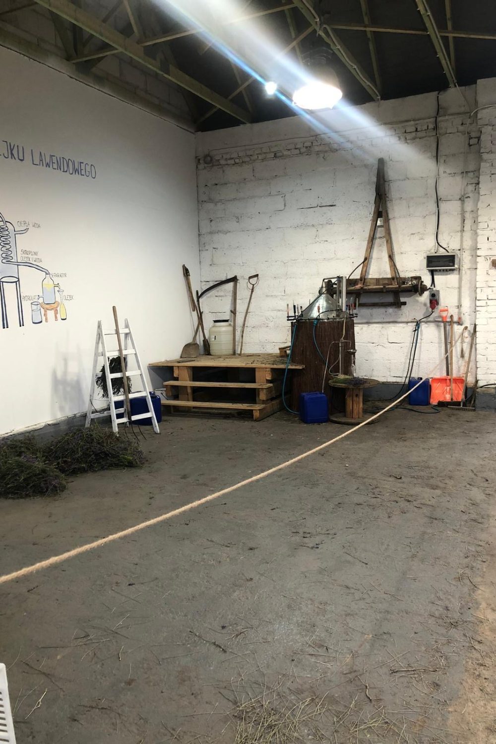 f1a71f65-c4f3-4b62-91fd-392573fa0301